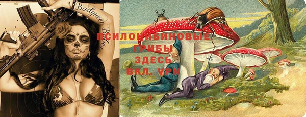амф Алексин
