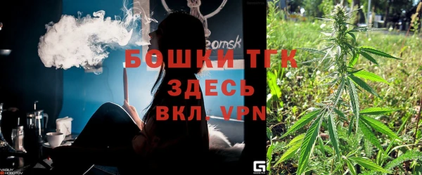 амф Алексин