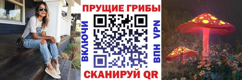 Галлюциногенные грибы MAGIC MUSHROOMS  Катайск 